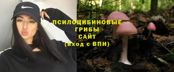 2c-b Магас