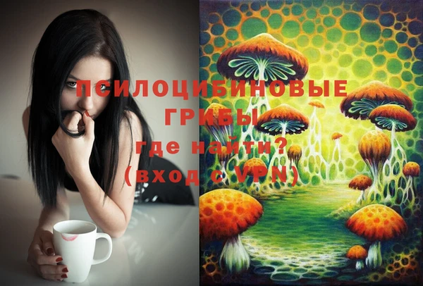 прущие грибы Орехово-Зуево