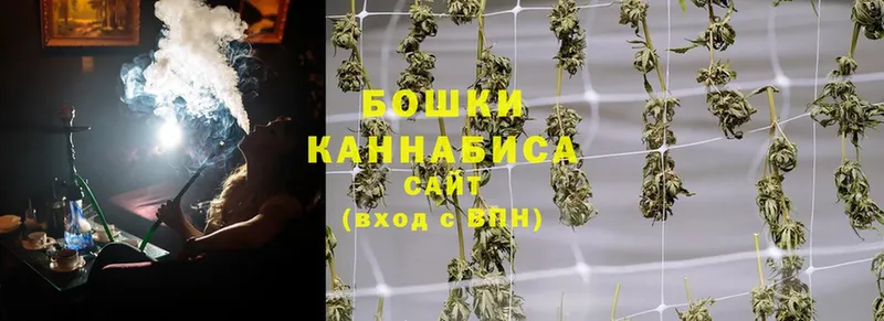 дарнет шоп  Болохово  Каннабис OG Kush 